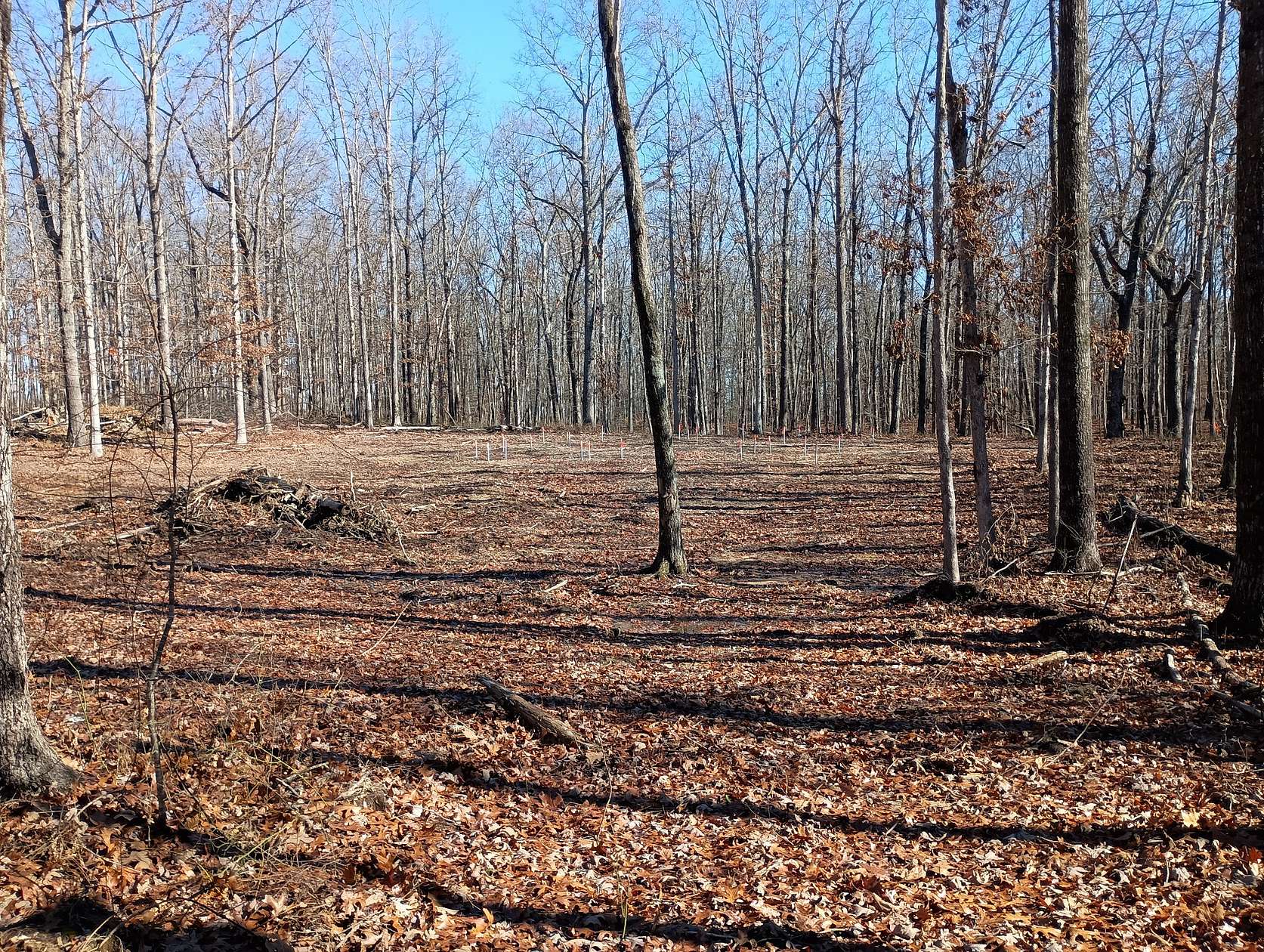 Residential Land for Sale in Monteagle, Tennessee