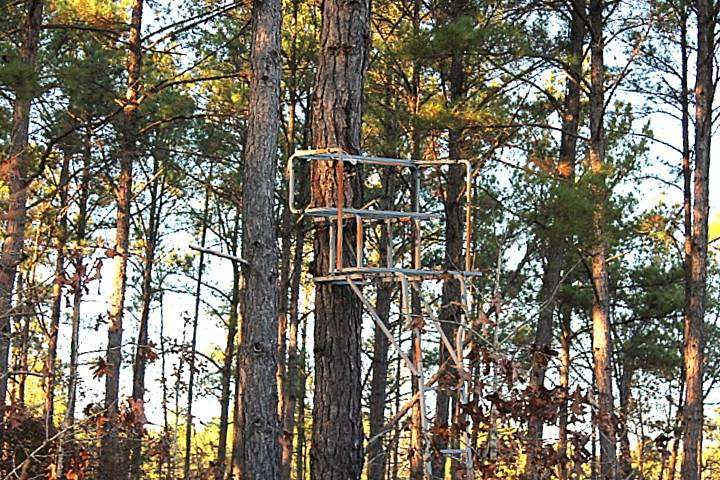 20 Acres of Land for Sale in Ellerbe, North Carolina