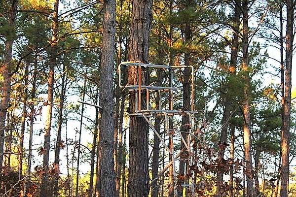 20 Acres of Land for Sale in Ellerbe, North Carolina