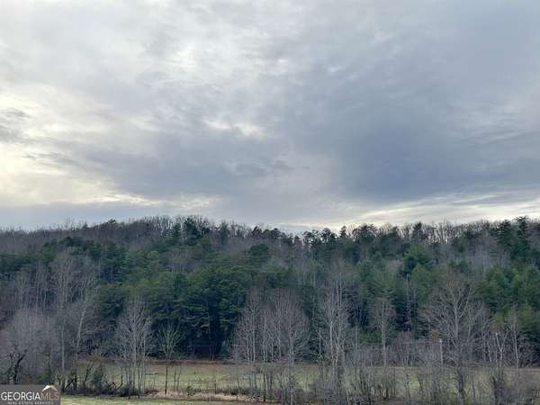 14 Acres of Land for Sale in Blairsville, Georgia