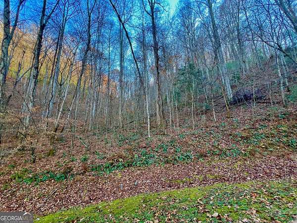 3.37 Acres of Residential Land for Sale in Mineral Bluff, Georgia