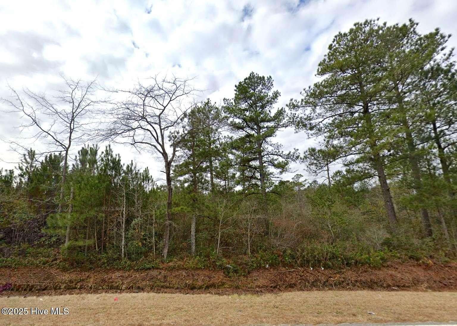 5.7 Acres of Residential Land for Sale in Rowland, North Carolina