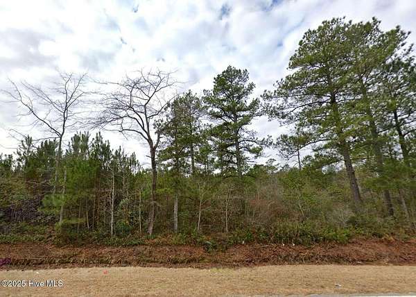5.7 Acres of Residential Land for Sale in Rowland, North Carolina