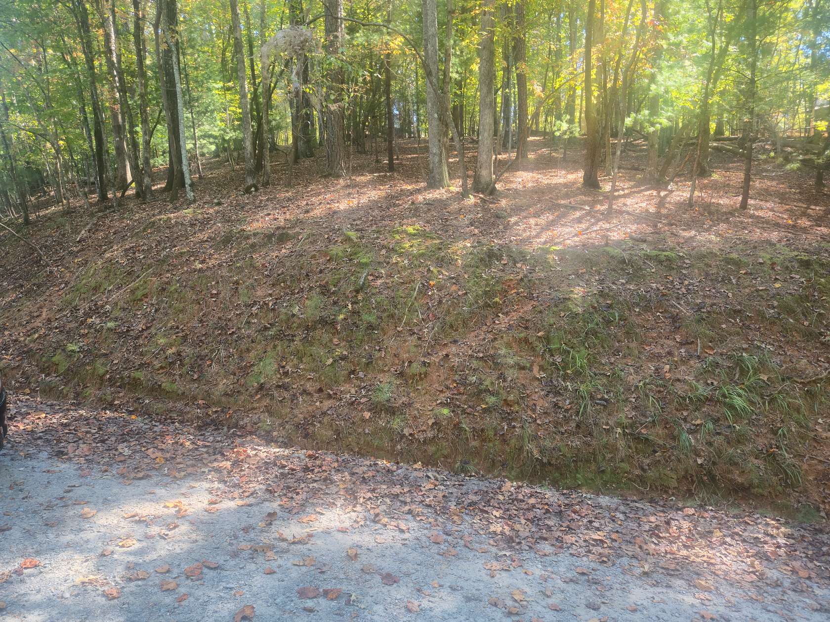 0.67 Acres of Residential Land for Sale in Ellijay, Georgia