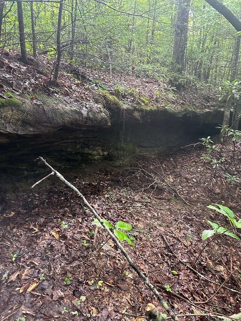 10 Acres of Residential Land for Sale in Wilder, Tennessee