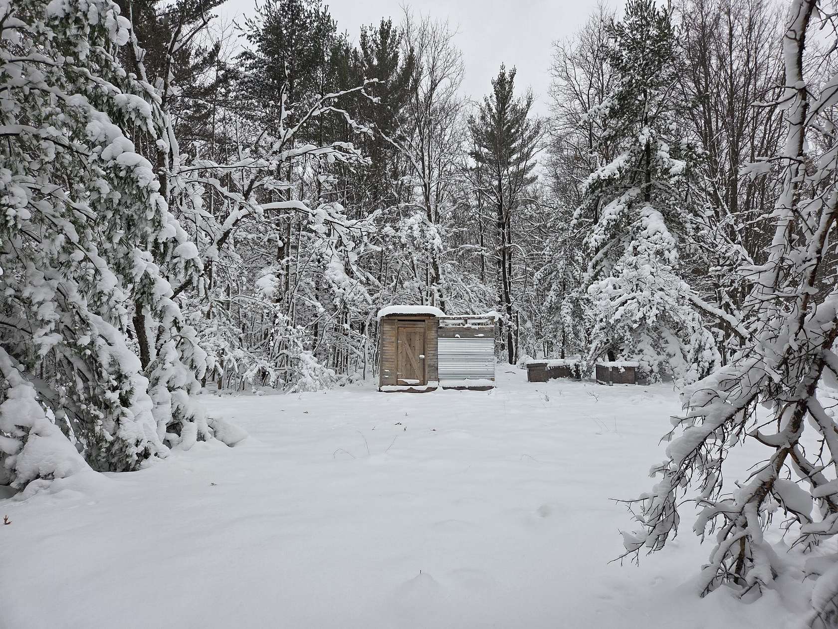 10 Acres of Recreational Land for Sale in Luther, Michigan