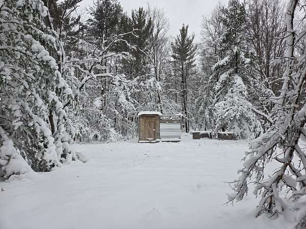 10 Acres of Recreational Land for Sale in Luther, Michigan