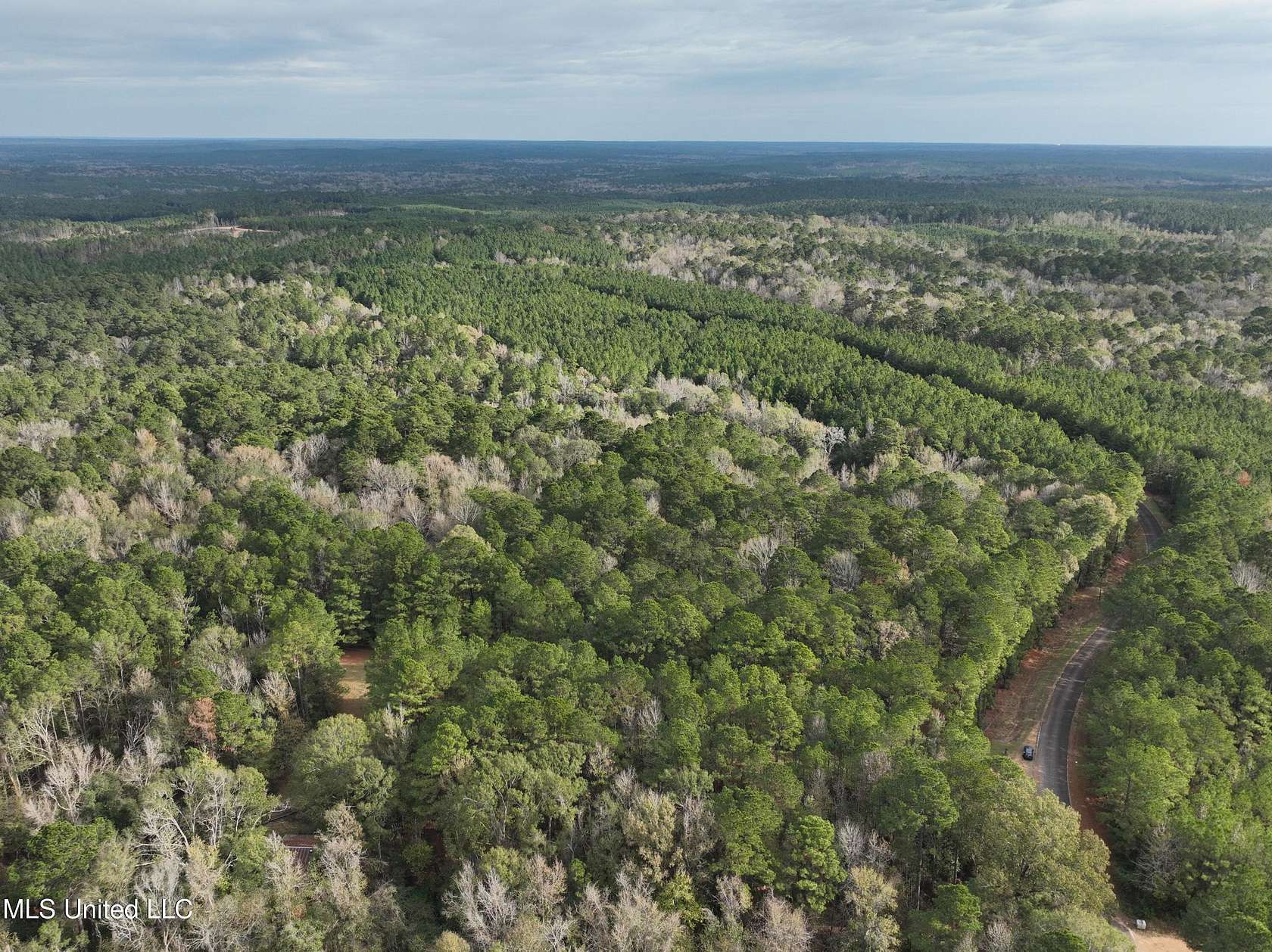19.9 Acres of Land for Sale in Centreville, Mississippi
