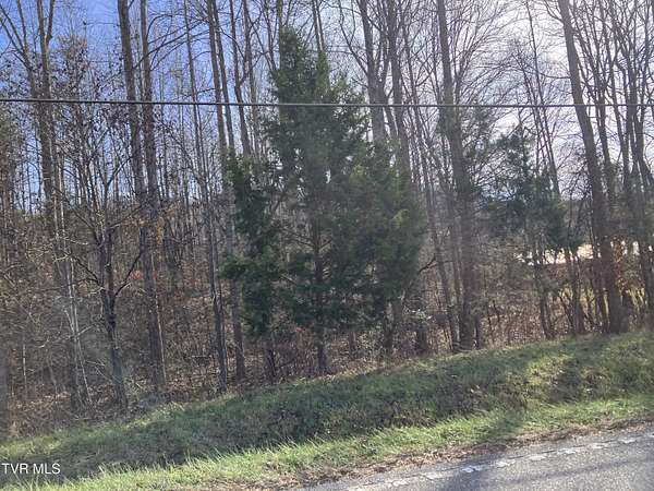 11.4 Acres of Land for Sale in Jonesborough, Tennessee
