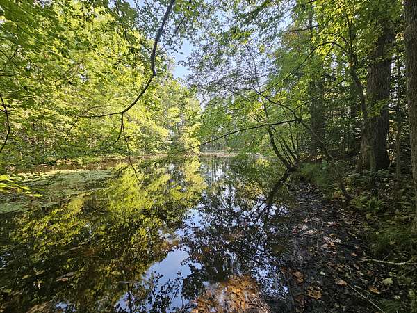 69 Acres of Recreational Land for Sale in Gruetli-Laager, Tennessee