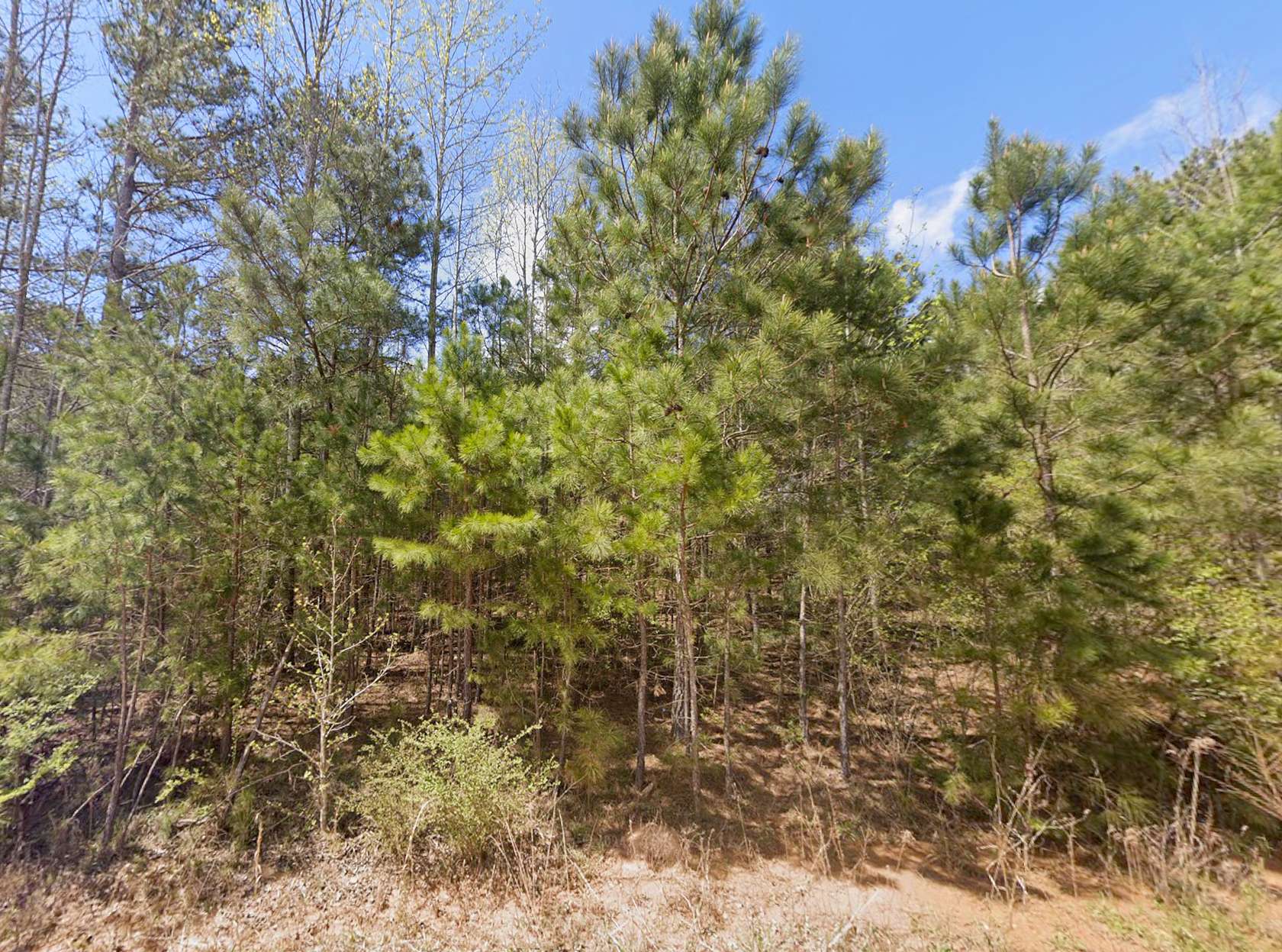 3 Acres of Residential Land for Sale in Woodland, Alabama