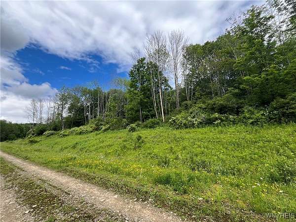 5.3 Acres of Residential Land with Home for Sale in Ellicottville, New York