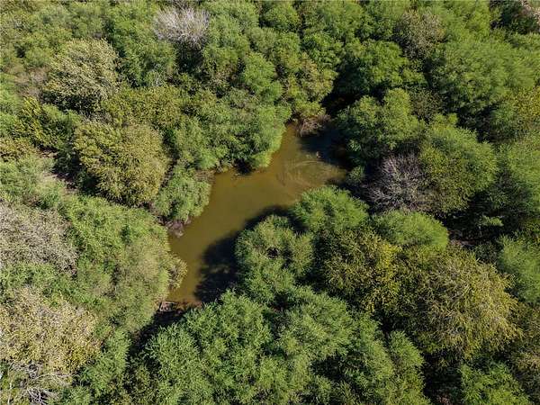 35.2 Acres of Recreational Land for Sale in George West, Texas