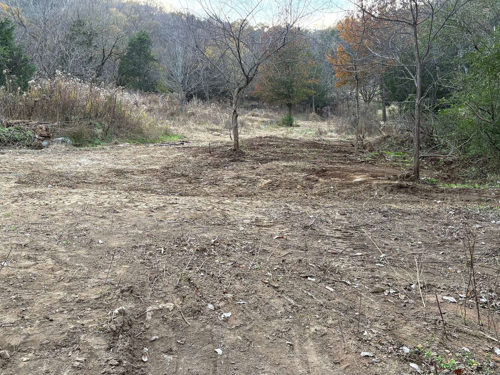 9.63 Acres of Residential Land for Auction in Carthage, Tennessee
