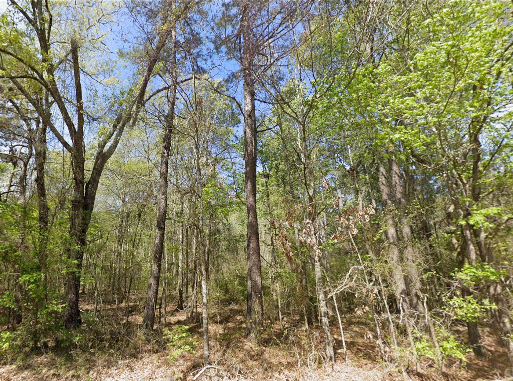 5 Acres of Land for Sale in Jacksonville, Texas