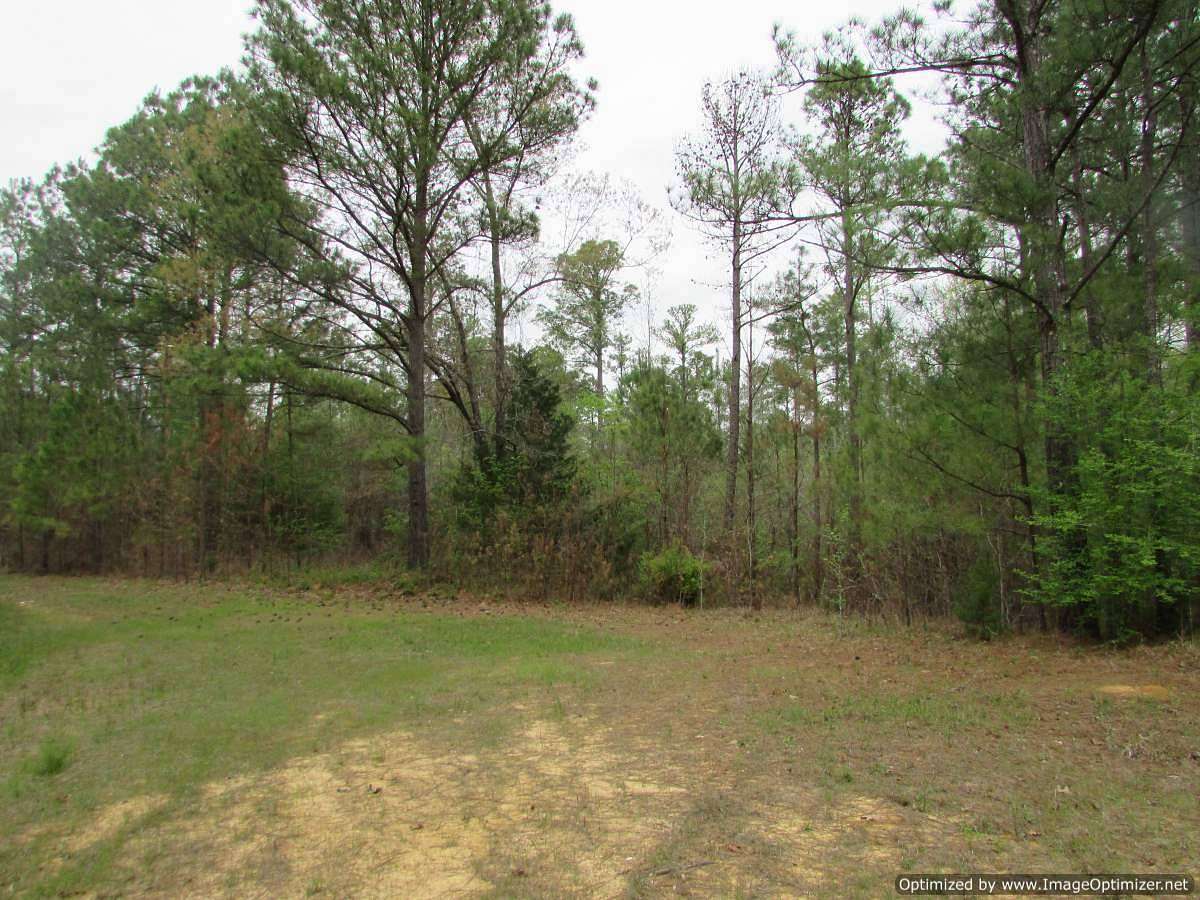 22.2 Acres of Land for Sale in Canton, Mississippi