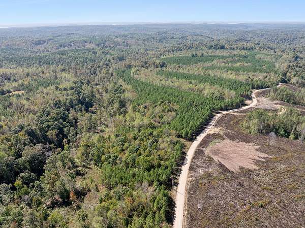 16 Acres of Land for Sale in Dover, Tennessee