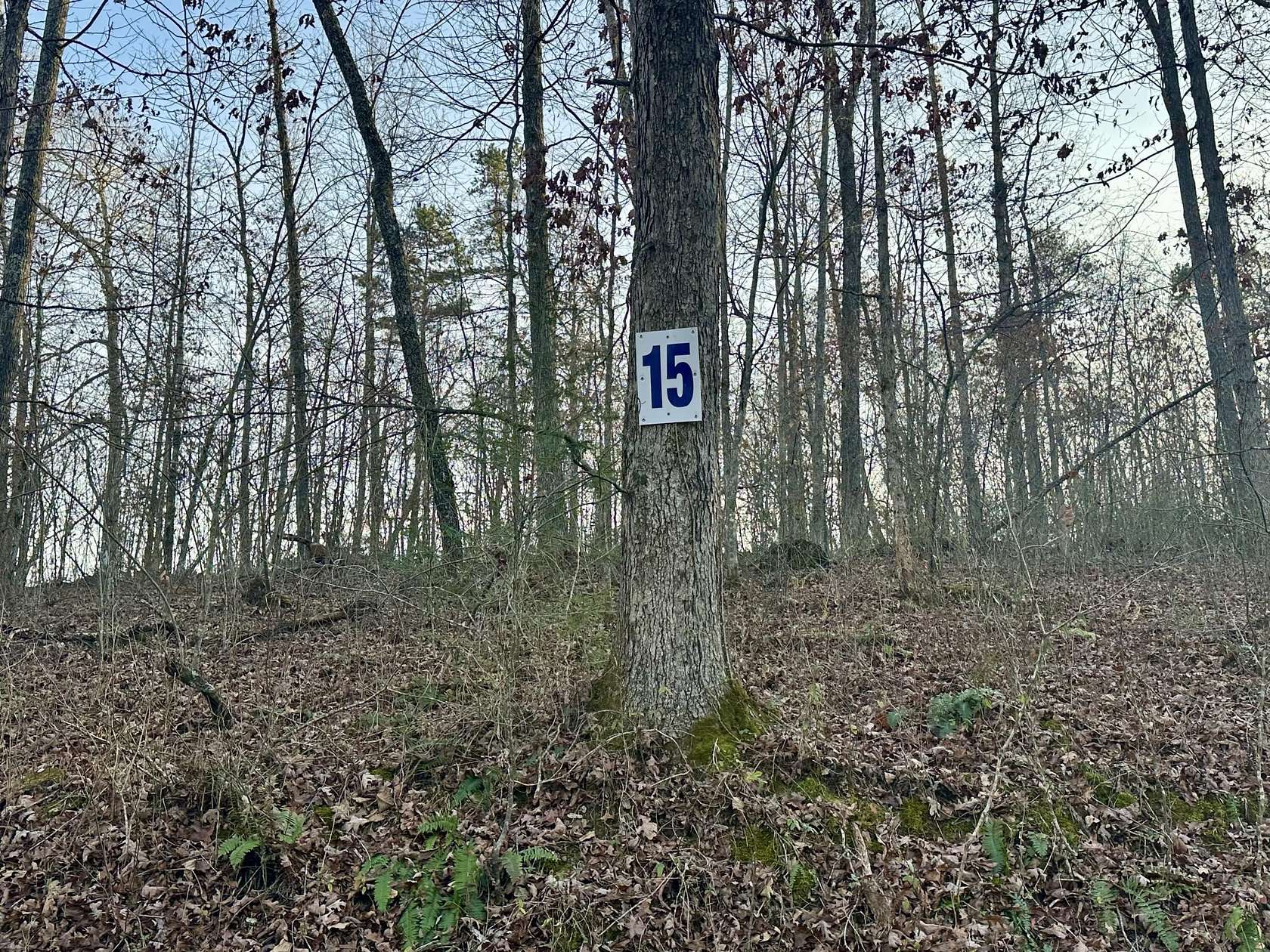 1.13 Acres of Land for Sale in East Bernstadt, Kentucky