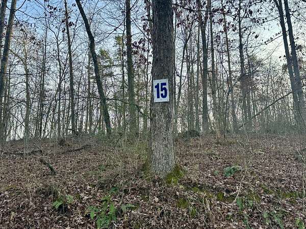 1.13 Acres of Land for Sale in East Bernstadt, Kentucky