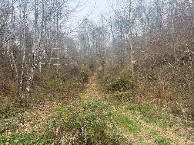 14.8 Acres of Land for Sale in Philo, Ohio