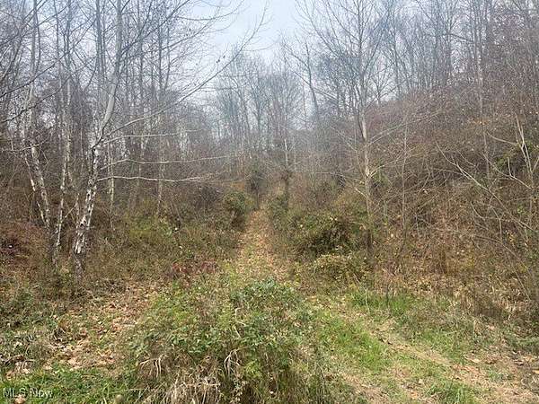 14.8 Acres of Land for Sale in Philo, Ohio