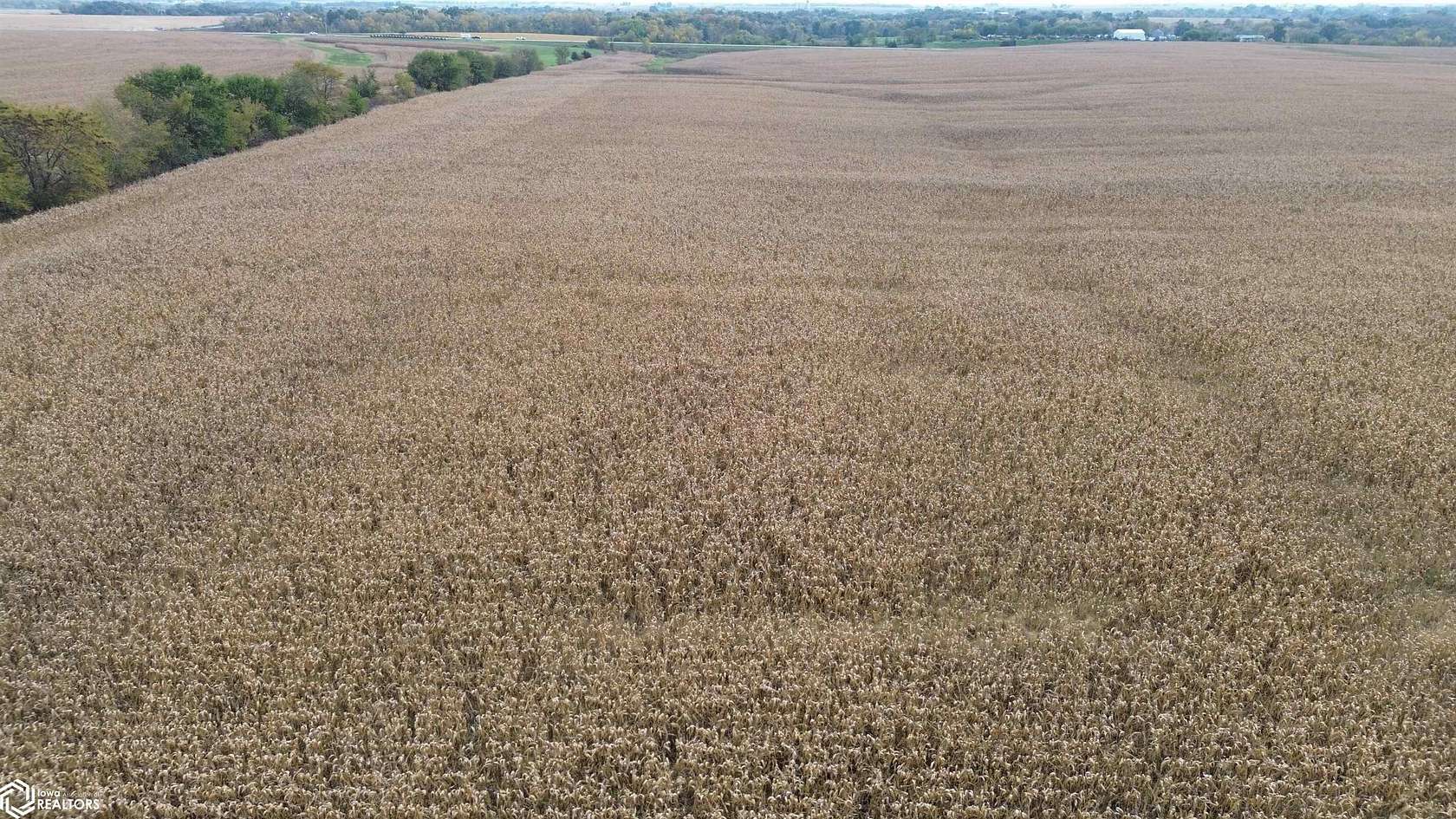 152 Acres of Land for Sale in Bloomfield, Iowa