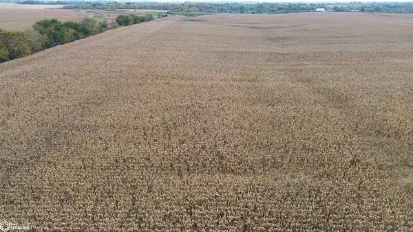 152 Acres of Land for Sale in Bloomfield, Iowa