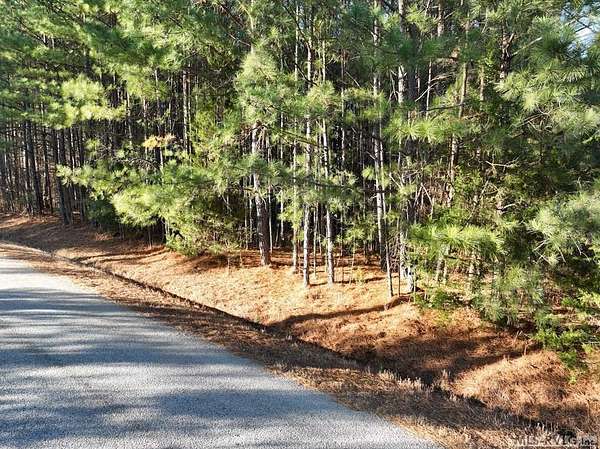 10.2 Acres of Land for Sale in La Crosse, Virginia