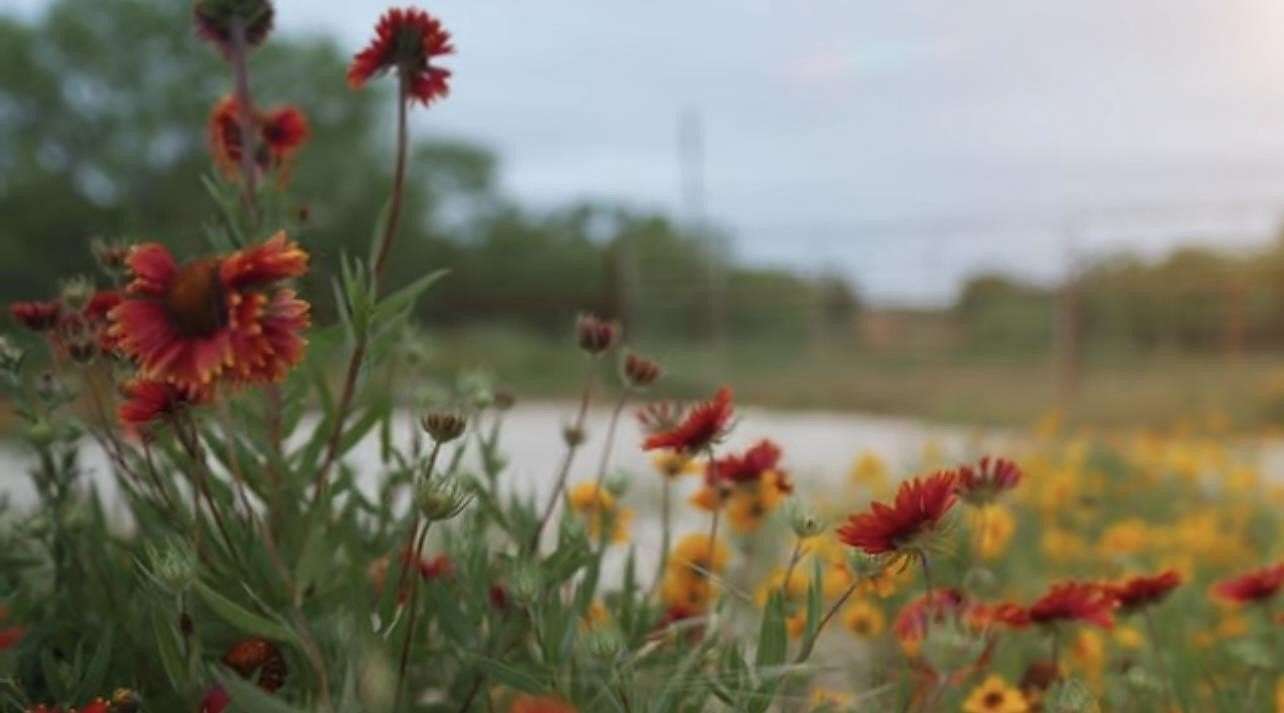 60 Acres of Recreational Land for Sale in Mullin, Texas