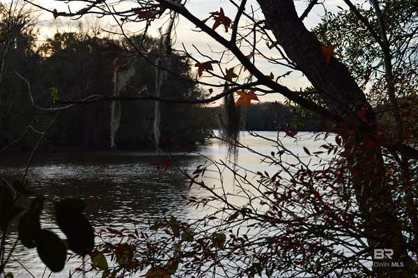 3.8 Acres of Residential Land for Sale in Stockton, Alabama