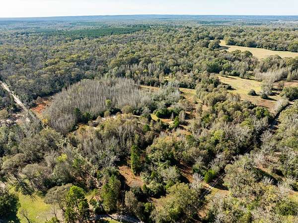 42 Acres of Recreational Land for Sale in Oakwood, Texas