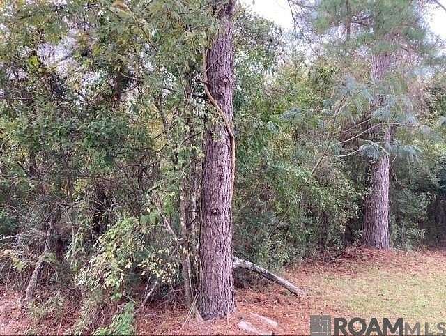 1 Acre of Land for Sale in Denham Springs, Louisiana