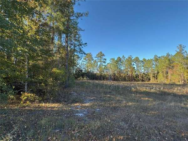 3 Acres of Residential Land for Sale in Woodbine, Georgia