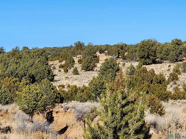 146 Acres of Recreational Land for Sale in Pie Town, New Mexico