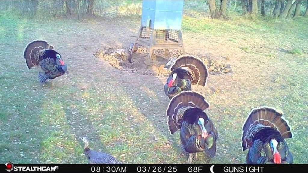 160 Acres of Recreational Land for Sale in Breckenridge, Texas