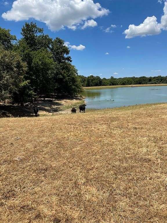 50 Acres of Recreational Land & Farm for Sale in Athens, Texas