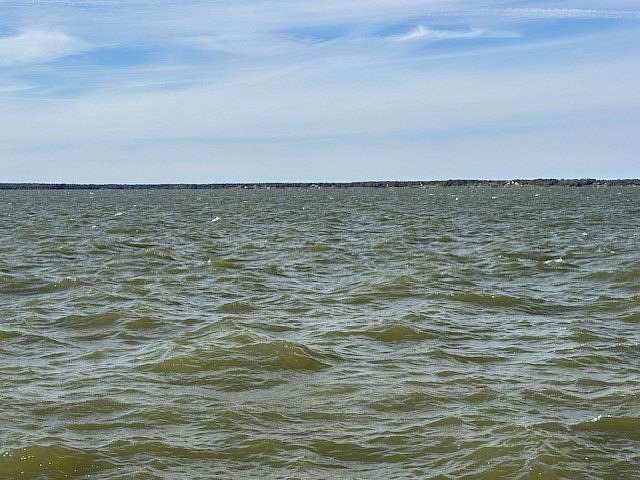 1 Acre of Residential Land for Sale in Streetman, Texas