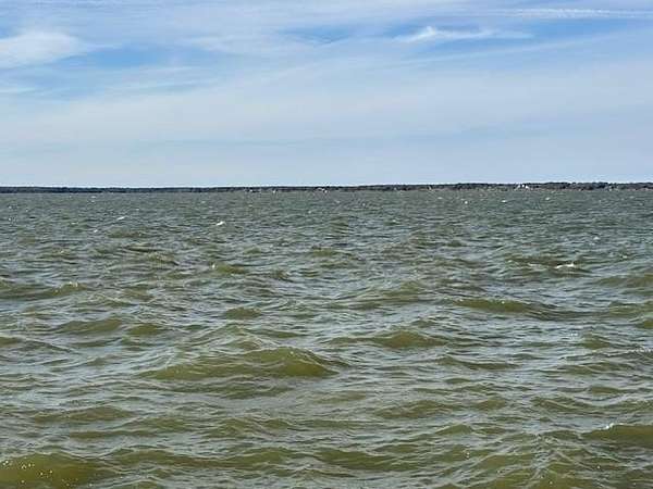 1 Acre of Residential Land for Sale in Streetman, Texas