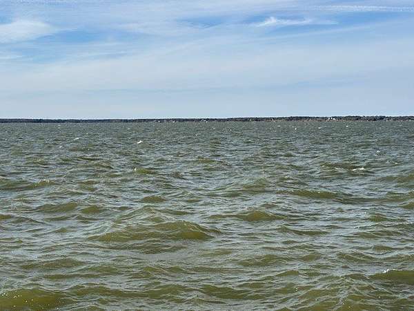 1 Acre of Residential Land for Sale in Streetman, Texas