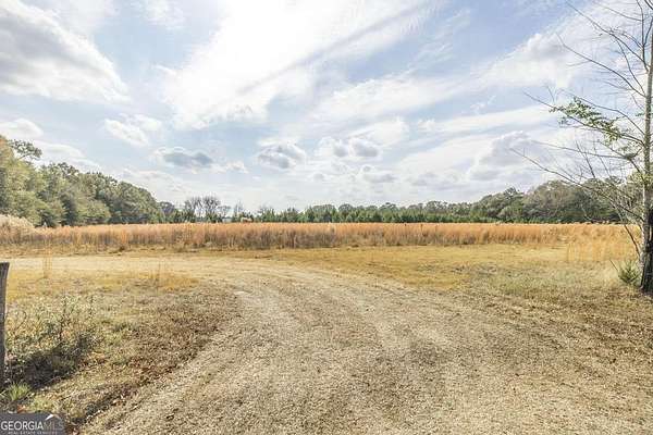 10 Acres of Residential Land for Sale in Fort Valley, Georgia