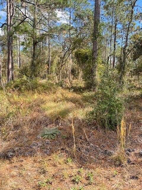 1 Acre of Residential Land for Sale in Dunnellon, Florida