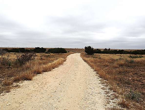 237 Acres of Agricultural Land with Home for Sale in Maryneal, Texas