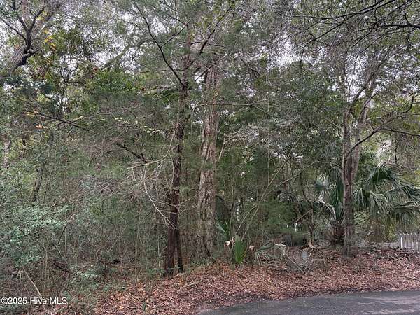 0.38 Acres of Residential Land for Sale in Bald Head Island, North Carolina