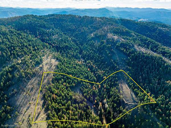 20 Acres of Land for Sale in Republic, Washington