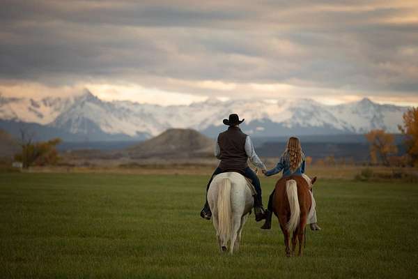 15 Acres of Land for Sale in Montrose, Colorado