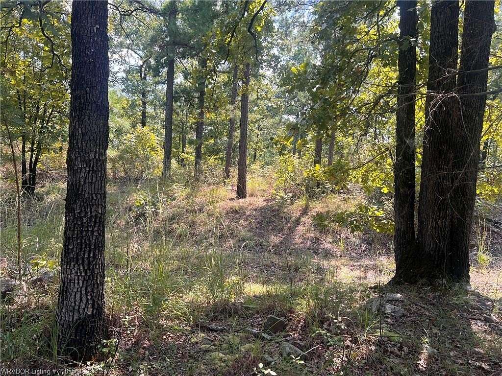11 Acres of Recreational Land for Sale in Whitesboro, Oklahoma