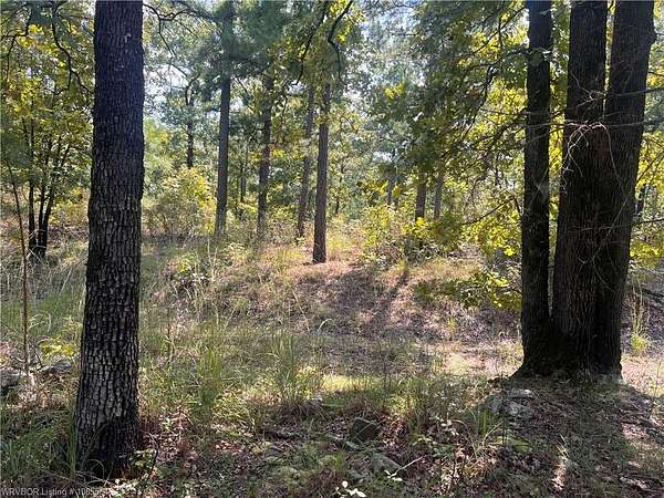 11 Acres of Recreational Land for Sale in Whitesboro, Oklahoma