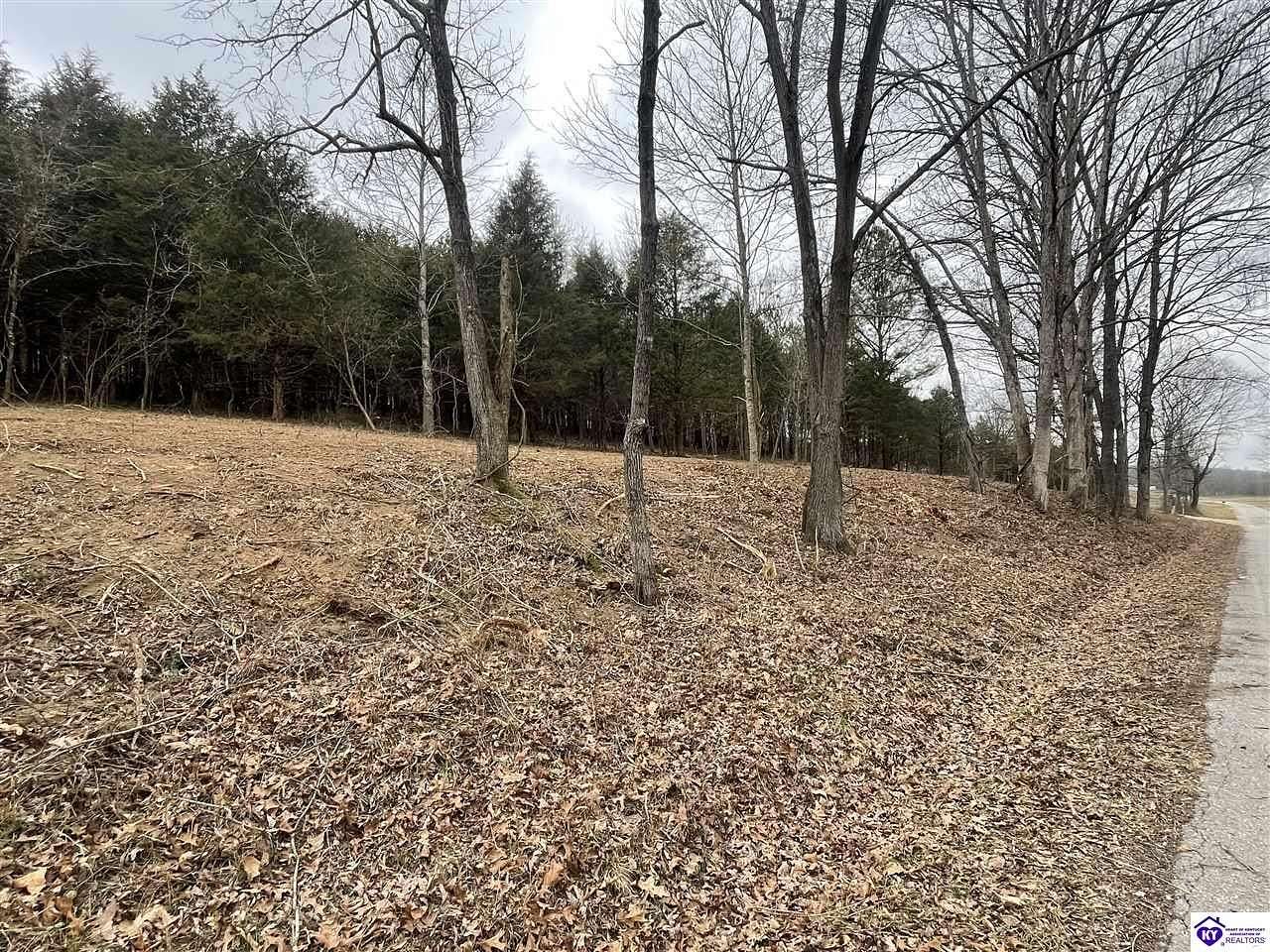 3.18 Acres of Residential Land for Sale in Bonnieville, Kentucky