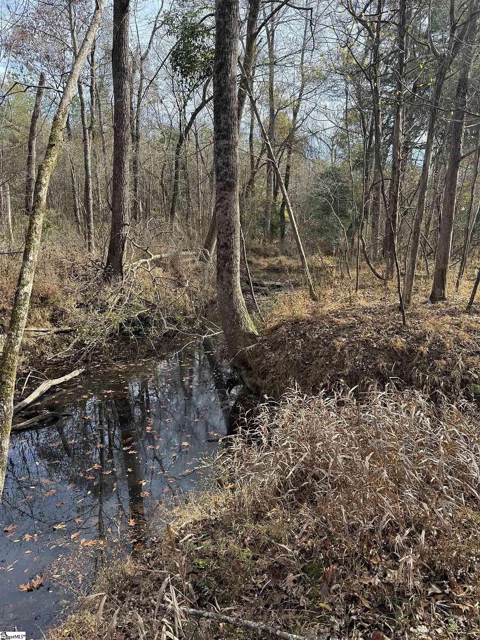 14.1 Acres of Recreational Land for Sale in Saluda, South Carolina