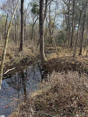14.1 Acres of Recreational Land for Sale in Saluda, South Carolina